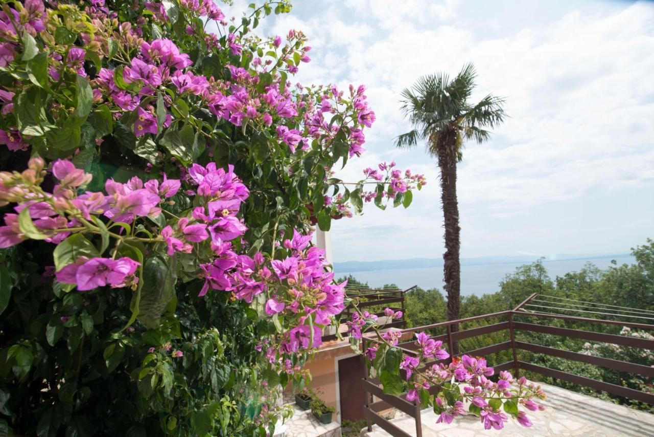 Apartment Alba Medveja Dış mekan fotoğraf