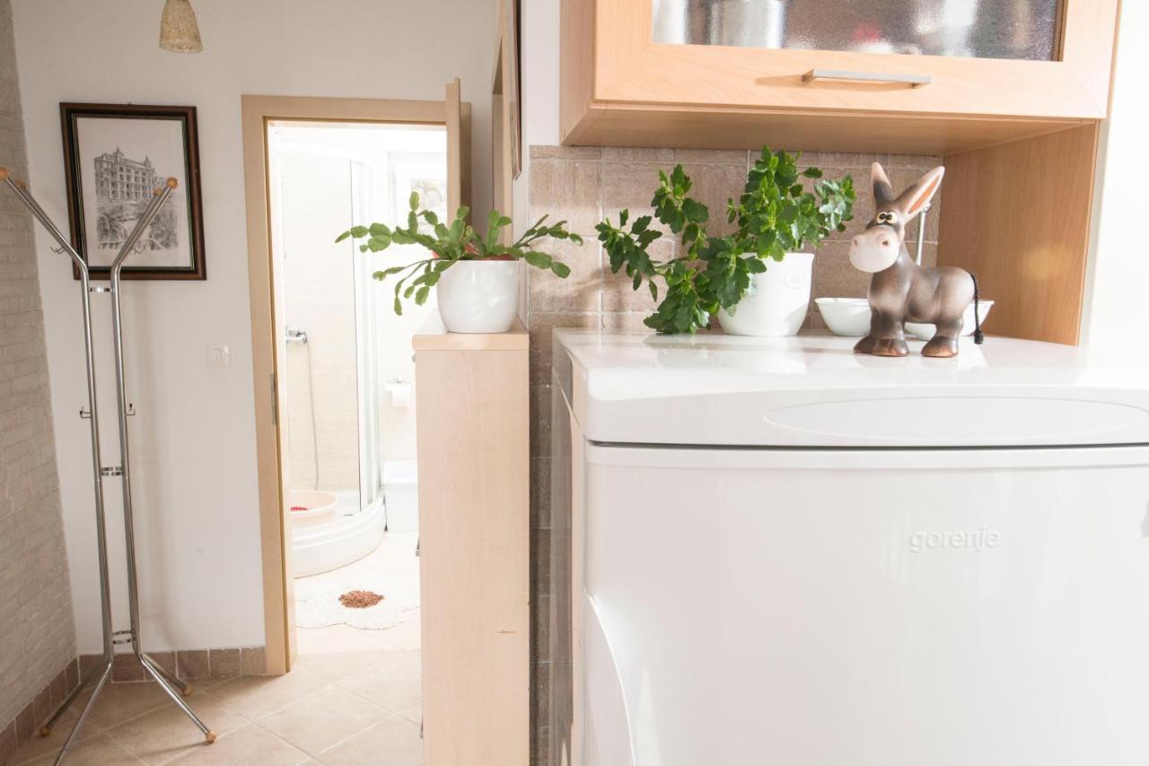 Apartment Alba Medveja Dış mekan fotoğraf