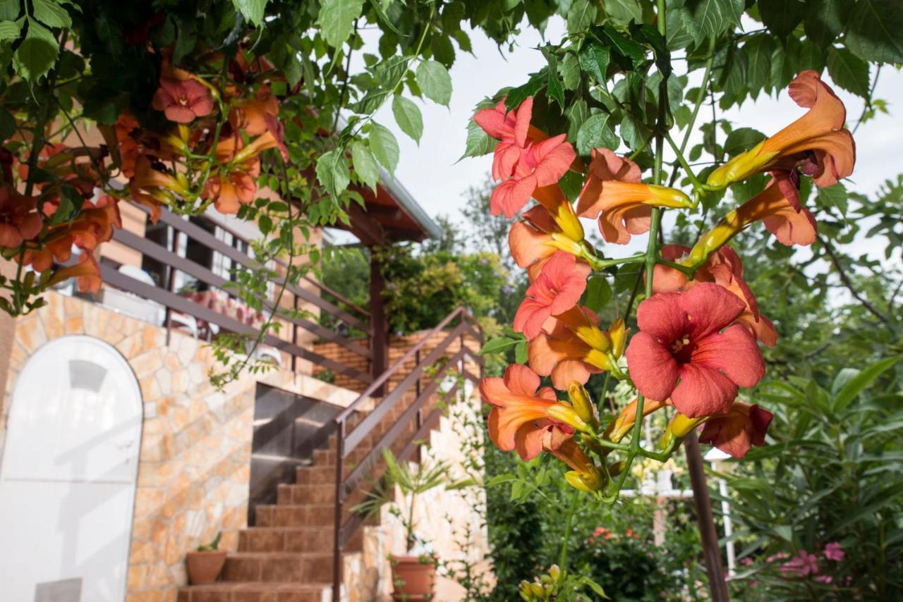Apartment Alba Medveja Dış mekan fotoğraf