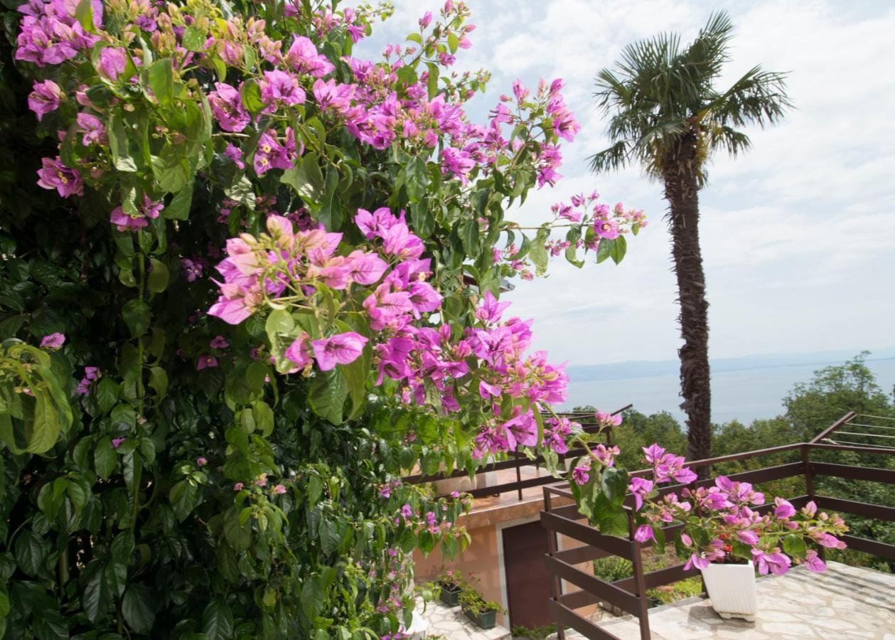 Apartment Alba Medveja Dış mekan fotoğraf