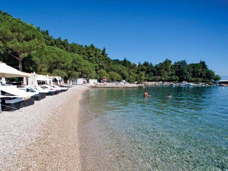 Apartment Alba Medveja Dış mekan fotoğraf