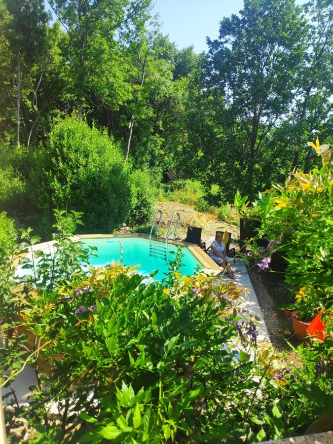 Apartment Alba Medveja Dış mekan fotoğraf
